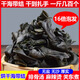 福建霞浦新貨海帶結(jié)干貨烘干海帶扣無(wú)沙海鮮干貨非淡干高泡發(fā)免洗 烘干海帶結(jié) 250克