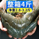 青島大蝦整箱海鮮鮮活速凍超特大冷凍基圍蝦鮮蝦海蝦對蝦青蝦 18厘米左右約56只/盒 3斤(凈重)  整箱4斤【凈重3斤左右】