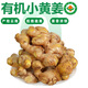 褚系嚴選【有機小黃姜】云南高山生姜 新鮮現(xiàn)挖 月子老姜 蔬菜調(diào)味食材 【有機鮮姜】2500g