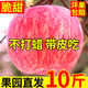 陜西洛紅富士蘋果10斤 新鮮當季脆甜冰糖心時令丑蘋果水果生鮮 9斤 精品裝