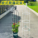 鐵線(xiàn)蓮爬藤架月季花架園藝爬藤花支架攀爬陽(yáng)臺支撐架花支架LZB A019白色 花苞款 四層 高145CM+送小鳥(niǎo)頭