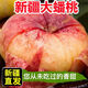 悠軼新疆蟠桃石河子143團蟠桃和靜縣紐扣扁毛桃子爆甜新鮮水果禮盒 5斤50年爆甜老樹果 甄選送禮裝