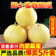 綠寶石甜瓜小香瓜蜜脆瓜當(dāng)季新鮮水果頭茬綠皮瓜送禮 黃金蜜寶（凈重4.8-5斤）