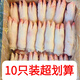 順豐新鮮豬蹄冷凍豬腳豬前蹄豬爪子帶筋豬蹄 帶筋豬蹄2只裝