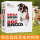 DK 世界名犬馴養(yǎng)百科