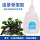 悠梵萌莫斯膠水50g水草膠水 水草造景莫絲膠骨架膠沉木瞬間膠速干膠