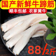 國產(chǎn)牛蹄筋 新鮮冷凍黃牛筋 生鮮牛肉牛雜火鍋食材 原切牛蹄筋1000g