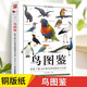 【包郵】鳥圖鑒+蝴蝶圖鑒+觀賞魚圖鑒 鳥圖鑒/鳥類圖鑒野外觀鳥手冊(cè)鳥類輕圖鑒中國鳥類觀察手冊(cè)行為圖鑒生態(tài)大圖鑒識(shí)鳥百科全書  輕松了解410種鳥類的特征與習(xí)性 鳥圖鑒 定價(jià)45