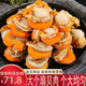 新食道特大扇貝肉 新鮮活凍處理 現(xiàn)剝扇貝柱瑤柱元貝 海鮮水產(chǎn)貝類 扇貝肉2斤裝