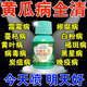 黃瓜專用要病菌清防治霜霉白粉灰霉軟腐病蔬菜葉黃斑病毒病殺菌劑 一瓶裝