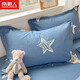 南極人（Nanjiren）全棉枕頭套加枕芯組合裝睡眠深度枕學(xué)生宿舍單人整頭一個(gè)48x74cm 星光閃閃（枕套+磨毛枕芯）單只