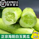鮮級佳山東海陽(yáng)白玉黃瓜【順豐快遞】新鮮水果生吃白黃瓜當季脆嫩小黃瓜 5斤