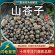 墨源山蒼子中藥材蓽澄茄山胡椒粒木姜子果非野生粉新鮮的香料枕頭干貨 山蒼子250克【新貨】