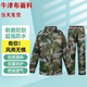 際華三零一九【軍雨衣正品】分體式迷彩雨衣防水面料戶外應(yīng)急防汛雙層雨披雨褲 【分體式正版】迷彩雨衣 2XL碼