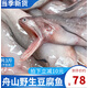 七葉島舟山特產(chǎn)龍頭魚(yú)新鮮豆腐魚(yú)海鮮鮮活冷凍水產(chǎn)九肚魚(yú)生鮮水潺3斤裝