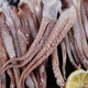 愷蒂鮮魷魚須新鮮燒烤二本足大號批發(fā)整箱冷凍鐵板魷魚串 5斤(凈重)  5包 魷魚須