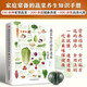 蔬菜食療營(yíng)養速查全圖鑒   營(yíng)養成分，選購儲存，食療功效，膳食建議，食用法則，步驟詳解