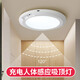 樓王門口無線充電人體感應吸頂燈入戶門玄關(guān)樓道燈免接線樓梯走廊過道 3W 遙控充電款白光5000mAh長續(xù)航
