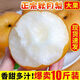 谷真【甘甜多汁】正宗山東秋月梨梨子當季應季新鮮水果整箱 脆甜無(wú)渣 5斤