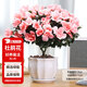 花翁杜鵑花盆栽花卉植物帶花苞綠植 大號粉色杜鵑(蓮花瓷盆)源頭直發(fā)