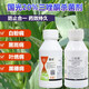 國光20%三唑酮銅粉銹寧多肉花卉月季小麥果樹(shù)多肉花椒草坪梨樹(shù)葉銹病白粉病黑斑病銹病三銼酮農藥殺菌劑 80ml