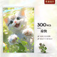 DI AI WAI【可選配相框】拼圖兒童玩具6-12歲300片可帶相框暑假禮物7-10歲 [拼圖300片]涼快/禮盒裝