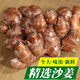 思蔬沙姜新鮮山奈三奈廣東白切雞子特產(chǎn)老生姜蘸調(diào)味配香料 1000g