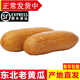 辰實(shí)【發(fā)順豐】東北老黃瓜 酸黃瓜 新鮮農家麻皮老黃瓜蔬菜 10斤