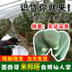 譽(yù)滿園多肉植物墨西哥米邦塔可食用仙人掌外敷煮水藥用老片多肉仙人掌 完整片 15年效果更好3斤裝） 不含盆