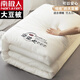 南極人（Nanjiren）被子春秋被冬被大豆纖維被加厚被芯10斤學(xué)生被褥家用太空被芯 原棉大豆被米白 150*200cm春秋被【約4斤】