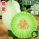 玉菇甜瓜南匯玉菇甜瓜山東玉姑蜜瓜當(dāng)季新鮮水果整箱香瓜3/5/10斤 帶箱9-10斤(大果出口級(jí)品質(zhì))