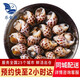 樂(lè )食港【活鮮】樂(lè )食港 鮮活花螺 海鮮貝類(lèi)海鮮水產(chǎn)螺類(lèi) 燒烤食材 2斤裝 1000g