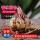 柏農重瓣香水百合花種球四季開(kāi)花好養易活盆栽鮮花庭院綠植物花卉種子 百合球1個(gè)包活下單可以備注品種