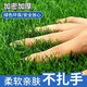 清雅仿真草坪地毯陽(yáng)光房玻璃屋頂專(zhuān)用人造綠色戶(hù)外人工裝飾地墊假草皮 2cm復合綠底春草 4m寬（需要幾m拍幾件）