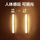 博朗爾充電磁吸感應燈臥室房間樓道人體感小夜燈櫥柜衣柜玄關燈條燈帶