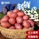 云南高山紅皮土豆新鮮富硒黃心小洋芋農家老品種大馬鈴薯批發(fā)6 小果5斤【比雞蛋大】