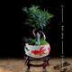 羅漢松盆景老樁植物盆栽四季常青造型樹室內(nèi)花綠植桌面微景觀好養(yǎng) 【羅漢松】金玉滿堂+小如來+木架 整套成品（山石苔蘚，帶盆種好）