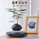 HCNT創(chuàng)意禮物磁懸浮盆栽室內(nèi)辦公室盆景智能花盆高檔客廳創(chuàng)意桌面擺件 高檔黑（送手工編織花勿忘我）