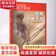 正版包郵 圖解人體手冊 科學(xué)出版社
