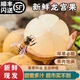 果坊情順豐泰國龍宮果進(jìn)口新鮮熱帶水果孕婦龍貢愛(ài)情果當季時(shí)令稀有獵奇 1斤裝