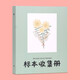 美浣植物標本收集冊干花壓花樹(shù)葉昆蟲(chóng)標本冊葉子四葉草楓葉收納本diy覆膜粘貼相冊手工制作自粘活頁(yè)夾 小號A5【20張】40面-太陽(yáng)花
