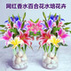 朵芮蜜【水培百合花】香水百合球水培花卉盆栽綠植種球發(fā)貨 多芮 10個水培百合【混色】不含盆