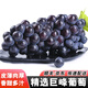 裕瓊馬陸葡萄上海特產(chǎn)醉金香奶油巨峰玫瑰夏黑黃蜜新鮮拼箱水果禮盒裝 巨峰葡萄5斤 馬陸葡萄果園直發(fā)
