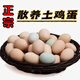 湖北深山正宗散養土雞蛋粉殼蛋綠殼蛋蟲(chóng)草蛋新鮮現撿現發(fā)農家自養 50枚粉殼