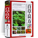 百草良方 中草藥大全 處方指南 中藥材藥方中醫養生保健書(shū) 本草綱目中醫學(xué)入門(mén)傷寒論偏方秘方千金方書(shū)籍