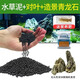 逸樂(lè )寵魚(yú)缸水草泥造景鋪底砂水族造景套餐水草種子基肥不渾水魚(yú)缸底沙 凈水水草泥2斤+基肥+種子+1斤造景青龍石
