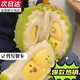 奇怪君榴蓮?fù)媾伎刹鹦犊伤豪蓜兤そ鈮好q創(chuàng)意水果玩偶抱枕生日禮物 【一整顆榴蓮】水果玩偶抱枕 （33cm）4瓣可拆可撕可剝