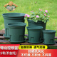 德沃多種菜盆陽(yáng)臺植物加厚花盆加侖盆園藝綠植盆栽通用