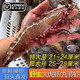 鮮行港湛江特大老虎蝦天然海鮮巨型紅爪虎蝦超大黑虎蝦鮮活速凍大號海蝦 1盒 每盒凈重一斤11-12條