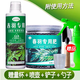 花壯緣春羽肥料春雨肥料龍鱗春雨肥料營(yíng)養液盆栽花肥土綠植大葉養護黃葉 春羽專(zhuān)用肥＋專(zhuān)用營(yíng)養液